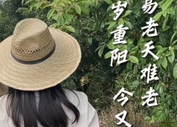 【重陽節桂花糕】“桂花雨”落在松軟的米糕上，連著桂花蜜的甜味融化在舌尖上，這份獨屬于秋天的歡迎儀式，連帶著重陽節的獻禮一起和大家分享！